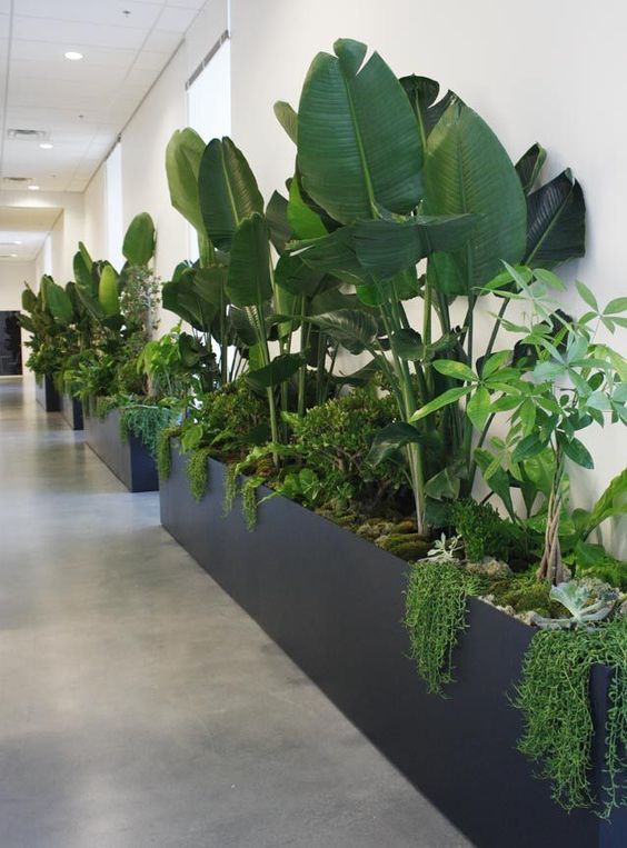 Office Interior Design Bangkok
